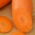 Import 2020 China Manufacturer Big Size Fresh Widerways Carrots Fresh Organic from China