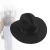 Import 2020 Newly designed paper fedora hat brim hat fedora fedora hat from China