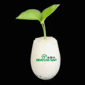 2020 Sep. BEATUM Super Absorbent Polymer for Agriculture