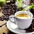Import 2021 Roasted Whole Coffee Blend- 250g Robusta Blend 8038 - Whole Robusta Coffee Beans - MEDIAONSKY CAFE from Israel