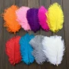 25-30cm White south africa ostrich feathers