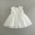 Import 3-24 M Girl Dresses Toddler Girls Sleeveless Lace Dress Summer Baby Birthday Princess Dress from China
