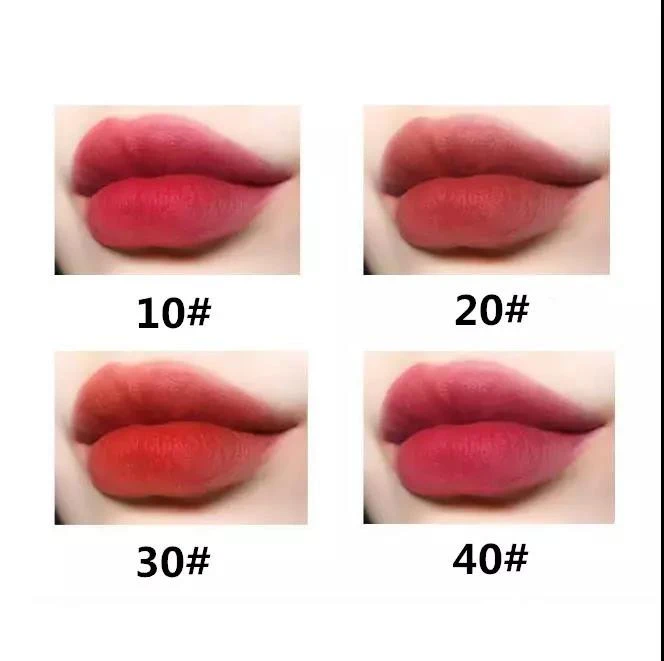 4 Colors Wholesale Waterproof Matte  Custom Velvet Lip Gloss Cosmetic