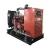 Import 50Hz / 60Hz 50kva 40kw durable shock-proof small gas generator / turbine genset from China