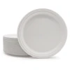 8 Inch 100% Biodegradable & Compostable bagasse plate disposable for party wedding