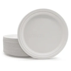 8 Inch 100% Biodegradable & Compostable bagasse plate disposable for party wedding