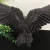 Import Amazing Natural Obsidian Quartz Carved Crystal Eagle Trophy Carving For Fengshui Decoration from China