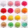 Amazon Top Seller 10 inch 25cm paper pom pom style birthday party christmas decoration pompoms supplies