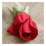 Artificial Flowers Rose Gold Rose Flowers Bouquet Bridal Rose Flowers Artificial Flower For Home Party Wedding Decoration