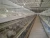 Import Automatic chick feeding equipment 3 tiers broiler cage  Chicken Brooder Day Old Chick Battery Pullet Cage from China