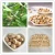 Import Bai Guo Factory Supply High Quality Dried Gingko Nuts Herb Chinese Medicine Ginkgo Biloba from China
