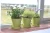Import Bamboo fiber flower pot planter plant flower pots mixed color made of bamboo fiber from China