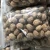 Import Best Price Oganic Walnuts with Thin Shell Or Kernel without Shell Price China from China