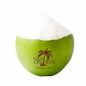 Best Quality Tropical Fruit from Thailand Fresh Young Semi Husked Coconut
