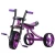 Import Boso Large Canopy Mini Kids Ride On Car Children Tricycle from China