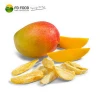 Bulk FD Fruit Freeze Dried Mango Without Additives