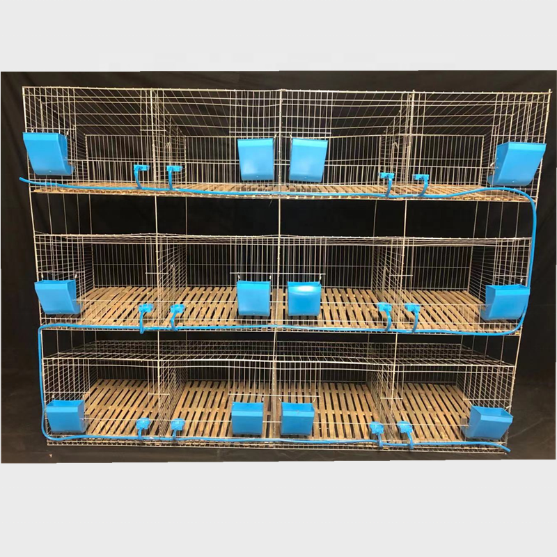 Buy Cheap Breeding Rabbit Cages Female Rabbit Cages from Hebei Ailongye ...