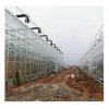 Cheap Vegetable Garden Flower Cultivation System Tempered Glass Greenhouse