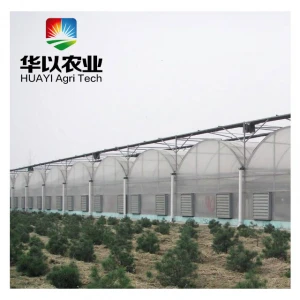 China agricultural plastic film tunnel greenhouse