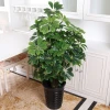 China Factory Direct Sale Cheap Artificial Plants Trees Bonsai Potted Plant