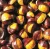 Import China factory supply  snack  small package Food Organic Peeled Roasted Chestnuts from China