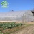 Import China manufacture tunnel double layer plastic greenhouse for roses seeding from China