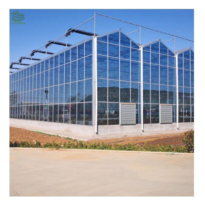 China Modern Agriculture Multispan Smart Glass Greenhouse