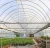 Import China wholesale best transparent plastic film green house greenhouse structure plastic film from China