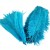 Import China Wholesale oem ostrich feather Supplier High Quality Promotional Colourful 14-16inch Customized OEM Bulk Ostrich Feather from China