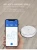 Import China WIFI APP Voice Prompt Mop Clean Robot Vacuums White from China