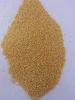 Chinese millet, yellow millet, good quality millet, panicum millet, glutinous or non-glutinous millet(794)