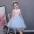 Import chinese traditional girls dress party wear girls pink blue  tutu dresses cos dress baby girl clothes from China