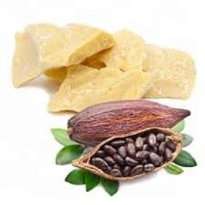 Cocoa butter from Indian Supplier
