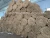 Import Coconut coir mesh for slope erosion soil control control best sales Mr. Ryan +84938 244 404 from China