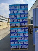 COPY A PACKAGE COPY PAPER