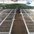 Import Corrosion resistant media bed tables propagation of seedlings from China