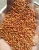 Import crop white red black yellow glutinous broomcorn millet sticky millet for bird feed from China