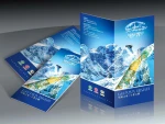 CUSTOM Printing of enterprise Printing of Paper Advertisement Book   PAPER PRINTING Service