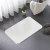 Import custom quick dry non-sip diatomite mat soft anti-slip bath carpet from China