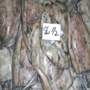 cuttle fish Frozen cuttlefish size 50/100 GARDE A ready shipment in advance for world wide