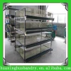 design poultry farm for egg layers, broilers quail in 2014