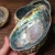 DIY Home Decoration Natural Conch Craft Sea Beach Raw Abalone Shell