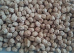 Dried Kabuli Chana india kabuli chickpeas 42/44 chickpeas india