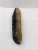 Import Dried sea cucumber from Australia