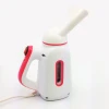 E1699 Travel Hand Ironing Steam Machine Garment Steamer Vertical Clothes Steamer Portable Handheld Electric Irons