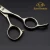 Import EB SUS440C steel Hot Sale Professional Beauty Barber Salon Hair Cutting Scissors from China