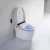 Import Eco-friend bathroom ceramic electronic water closet smart toilet from China