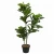 Import Eco-Friendly PEVA 1.0m Fiddle Leaf Fig Tree Artificial Fake Indoor Plants from China