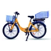 Electric bicycle for delivery post ebike Cargo electric bike