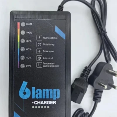 Electronic Accessories/Supply/48V2a/Lithium Ion Battery/Portable Lead Acid Golf &amp; Charger
